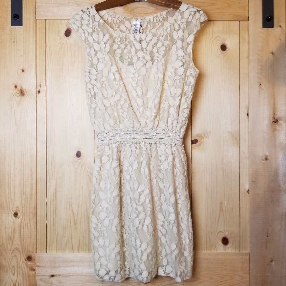 Sophie Max Serena Floral Lace Lined Sleeveless Sheath Dress NWT
